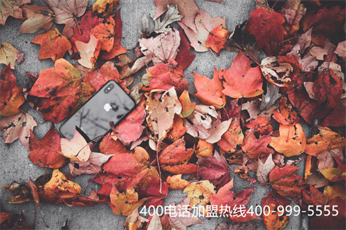 (400企業(yè)電話怎么辦理)(申請(qǐng)400電話帶給企業(yè)競(jìng)爭(zhēng)中低端市場(chǎng)優(yōu)勢(shì))