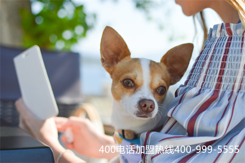 (400電話是哪家運(yùn)營(yíng)商)(400電話運(yùn)營(yíng)商歸屬)