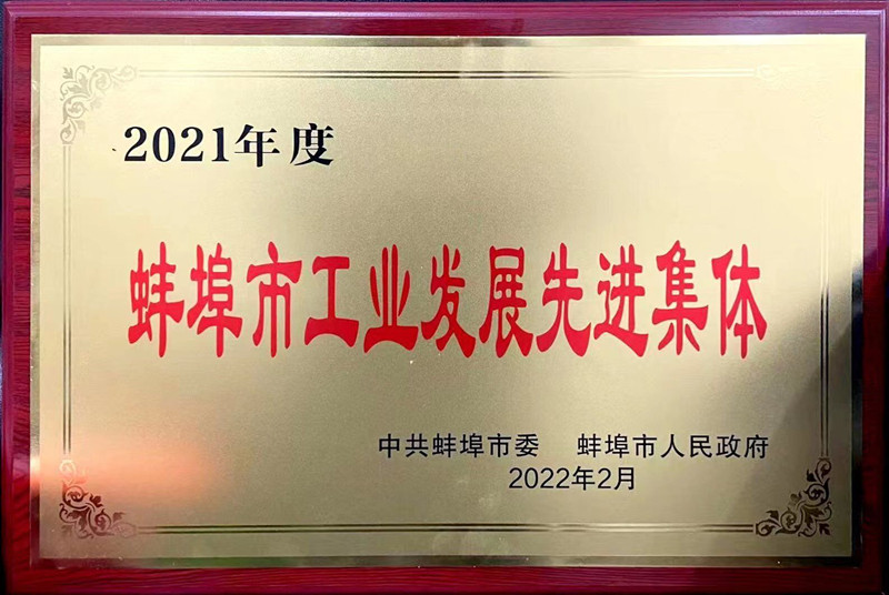 蚌埠市工業發展先進集體照片_副本.jpg